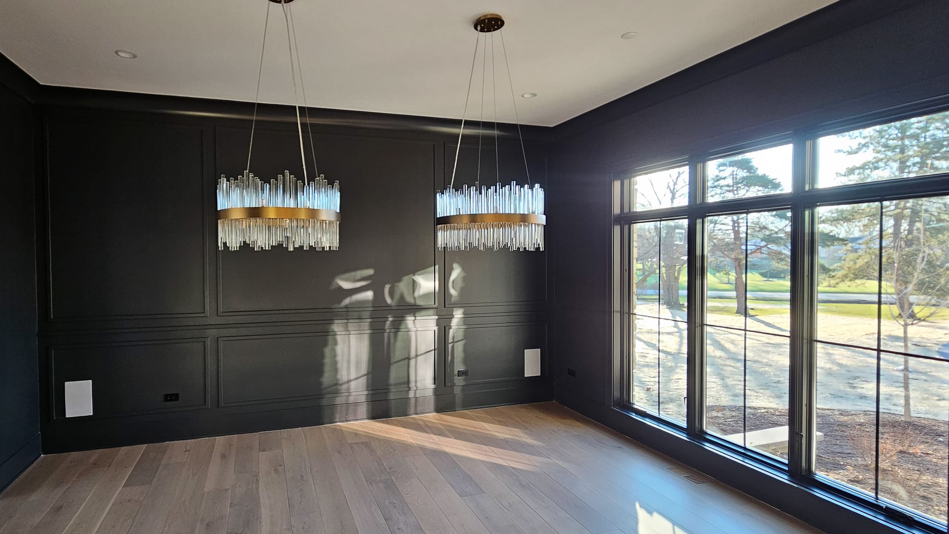 Clarendon Hills Modern Black Paneling Living Room