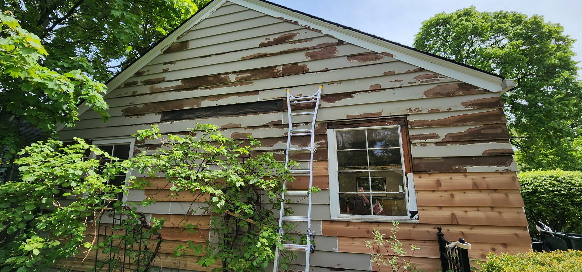 Weather Damaged Siding Peeling Paint - Weather Damage Restoration by Z&Z Painting